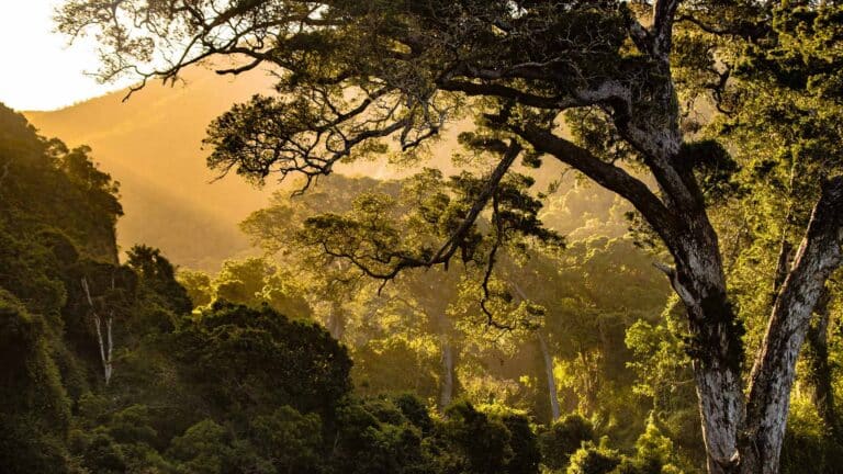 5 Day Garden Route Adventure